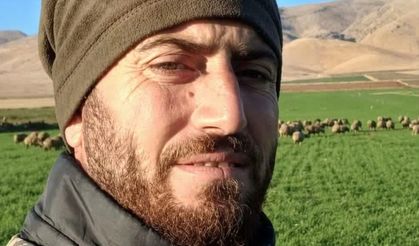 Mardin'de çoban cinayeti soruşturmasında 5 tutuklama