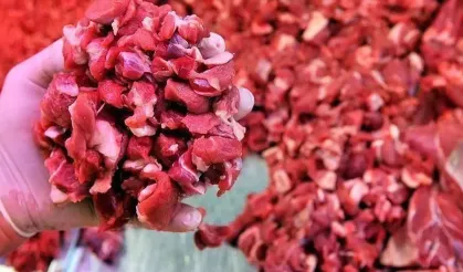 Aynı şehirde bir skandal daha: At ve eşek eti ifşa edildi