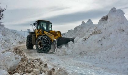 Nisan ayında kar sürprizi: 147 yol ulaşıma kapandı