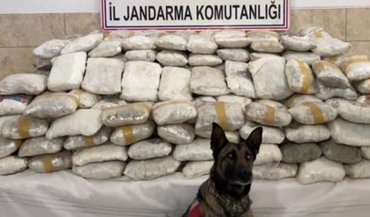 Van ve Hakkari’de narkotik operasyon: 446 kilo ele geçirildi