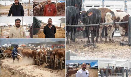 Besicilerin kurban pazarındaki zorlu mesaisi