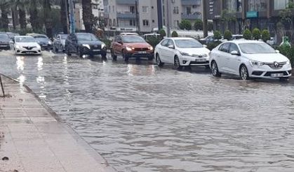 Bingöl ve ilçelerinde bu pazar hava durumu: Meteoroloji paylaştı