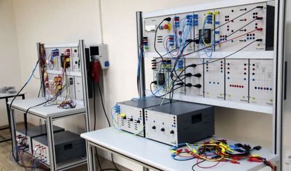 Laboratuvar deneylerinde neden fare kullanılır?