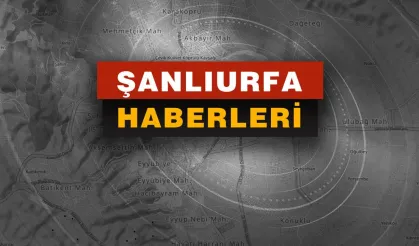 Şanlıurfa'da üvey kardeşler arasında arazi kavgası: 2 ölü