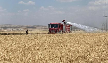 Mardin'de yüzlerce dönüm ekili alan alevlere teslim oldu