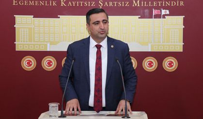 Ramanlı’dan Bakan Tekin'e 'anadilde eğitim' sorusu