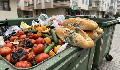 TÜİK Türkiye'nin utancını belgeledi