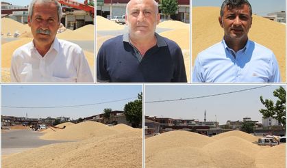 Üretici ve tüccardan TMO'ya "ÇKS" çağrısı
