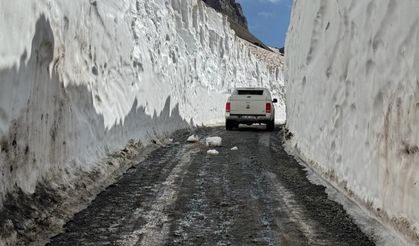 Hakkari'de temmuzda 8 metrelik kar tünelleri