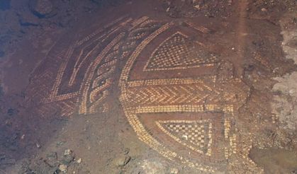 Mardin'de 1500 yıllık Roma mozaiği ele geçirildi