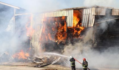 Şanlıurfa'da yem deposu yangını: TOMA'lar da devreye girdi