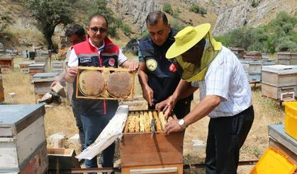 Arıcıların aylar süren emeği bala dönüştü