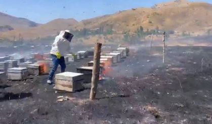 Adıyaman'da otluk alan yangını 200 arı kovanını kül etti