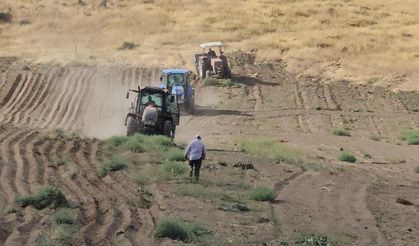 Doğu'da tarlalar hareketlendi: Buğday ekimi başladı