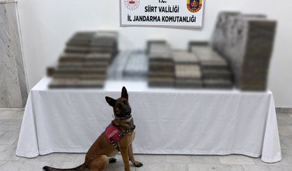 Siirt'te kömür çuvallarının arasına gizlenmiş kaçak sigara ele geçirildi