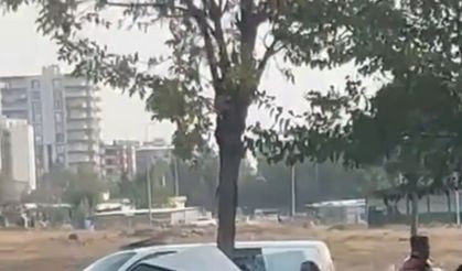 Siverek'te otomobil ağaca ok gibi saplandı: 3 yaralı