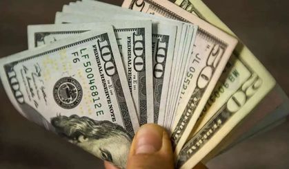 Dolar iki haftanın zirvesine yakın