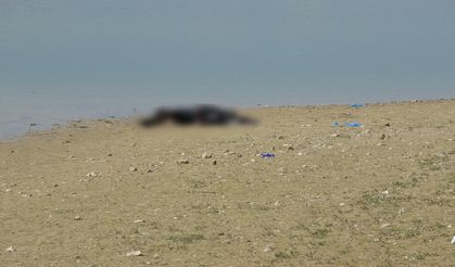 Malatya'da gölette erkek cesed! bulundu, Piknik yapan vatandaşlar fark etti
