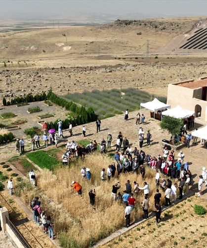 Şanlıurfa'da Slow Wheat Şanlıurfa 2025 etkinliği düzenlendi