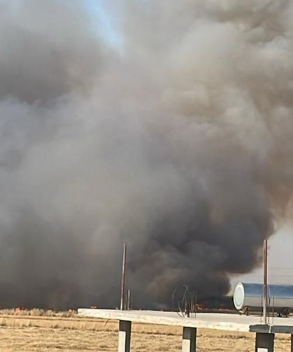Şanlıurfa’da tarla yangını: 100 dönüm buğday kül oldu