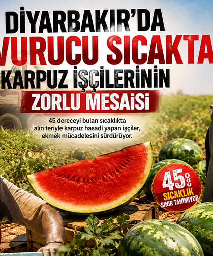 Diyarbakır'da kavurucu sıcakta karpuz işçilerinin zorlu mesaisi