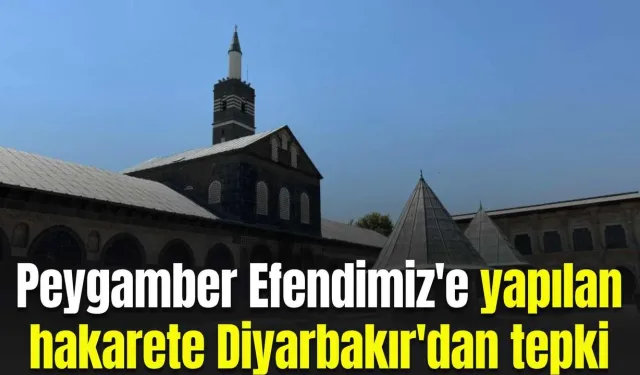 Diyarbakır'dan Peygamber Efendimize yapılan hakarete tepki