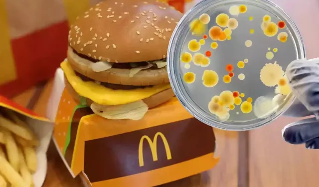 McDonald's'ın hamburgerlerinden yedikten sonra hastalanan kişi sayısında artış