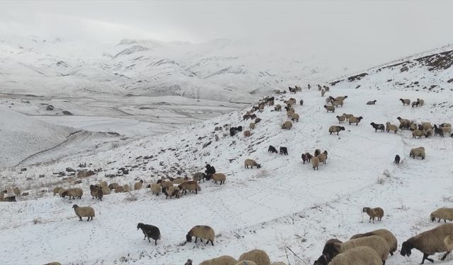 Şırnak Faraşin Yaylası'nda kar yağışı etkili oldu