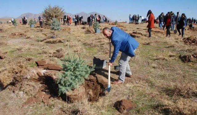 Bu yıl fidanlar Filistin'de devam eden soykırım anısına dikildi