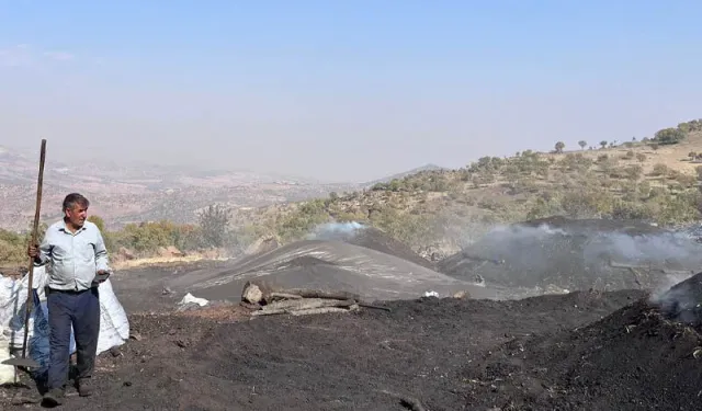 Diyarbakır'ın kara elması mangal kömürü emekçileri dertli