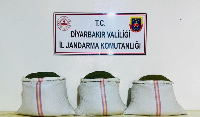 Diyarbakır'da 18 bin 246 kök Hint keneviri ile 81 kilo 800 gram esrar ele geçirildi