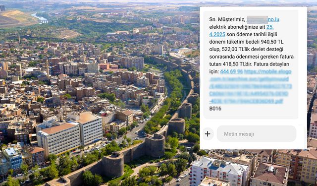 Diyarbakırlılar "Devlet Desteği" ibaresinden endişeli: Mesajlar şaşırttı