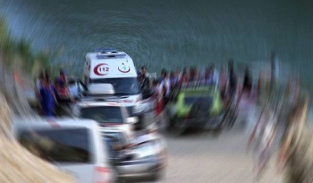 Şanlıurfa'da devrilen otomobildeki 3 kişi yaralandı