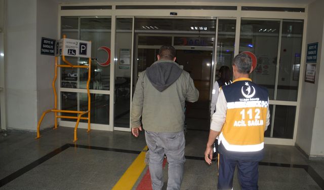 Siirt’te yılan ısırması sonucu 75 yaşındaki kadın hastaneye kaldırıldı