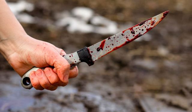 Nusaybin'de çıkan bıçaklı kavgada 1 kişi yaralandı