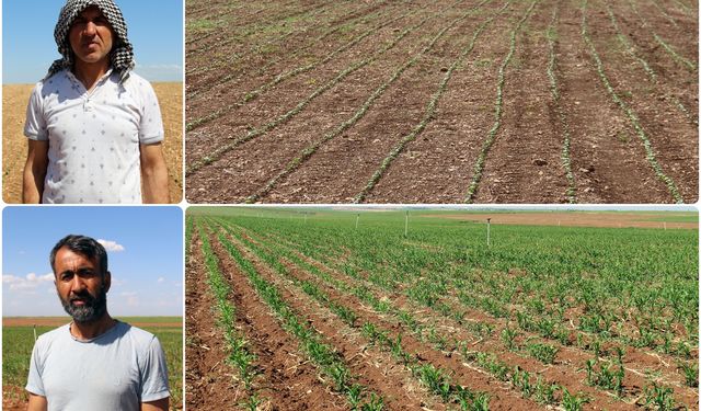 Diyarbakırlı çiftçiler: "Güneydoğu Anadolu Projesi acilen hayata geçirilsin"