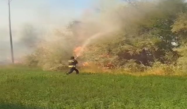 Bingöl'de yangın: Tarım arazisi ve ağaçlık alan zarar gördü