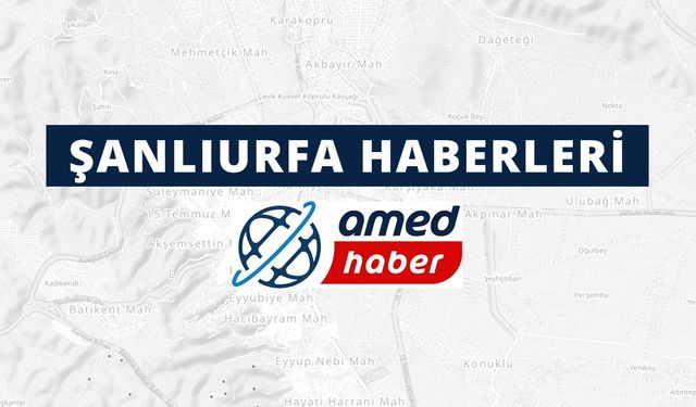Şanlıurfa'daki operasyonda 6 zanlı yakalandı