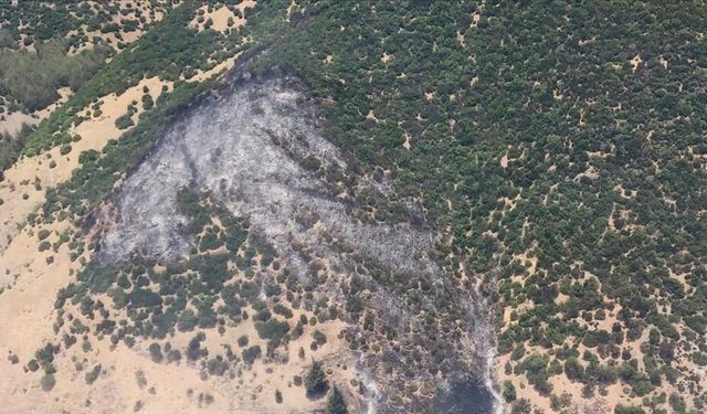 Gaziantep'te çıkan orman yangınında 5 hektar alan zarar gördü