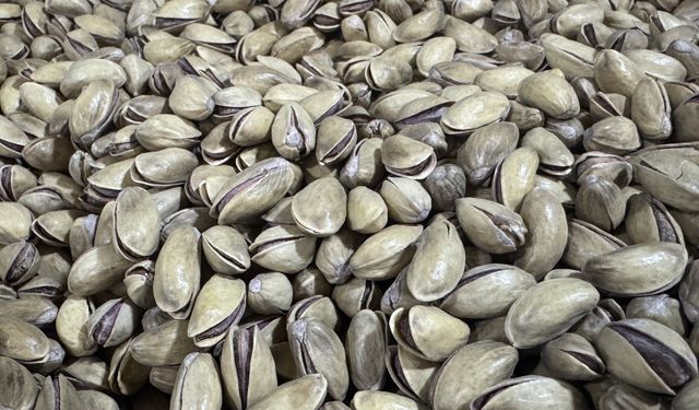 Antep fıstığı ihracatı yılın ilk yarısında yüzde 17 arttı