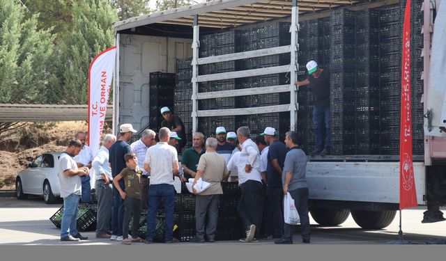 Çiftçilere 210 bin karnabahar ve lahana fidesi dağıtıldı