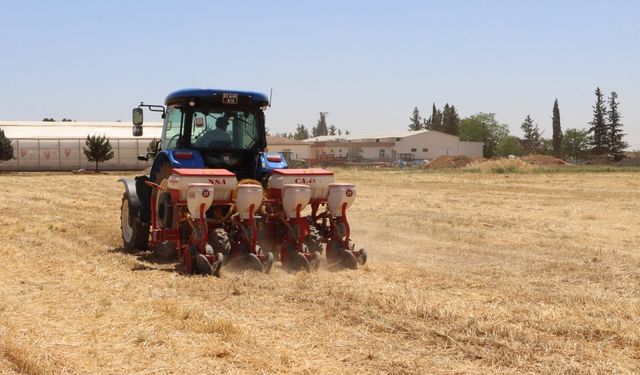 Şanlıurfa'da anıza mısır ekimi yapıldı