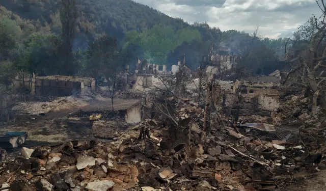 Yangın bölgelerinde hasar tespitleri başladı