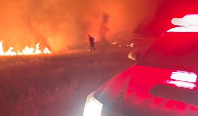 Malatya’da korkutan arazi yangını