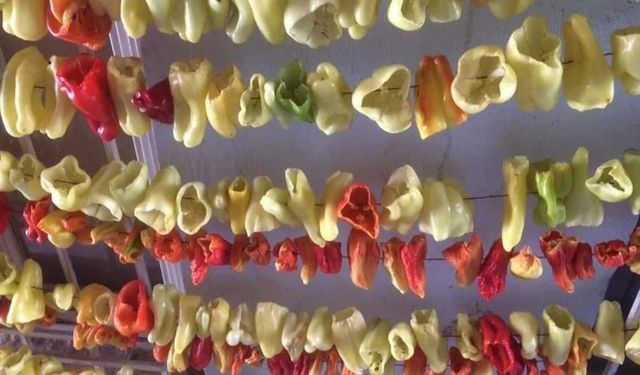 Diyarbakır'da kış hazırlığı: Geleneksel yöntemle sebzeler kurutuluyor