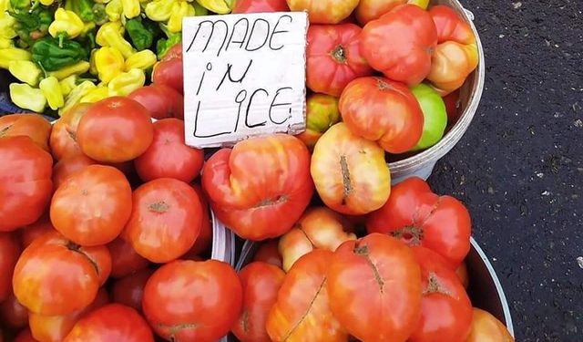 Lice Domatesi sofraların gözdesi olmaya devam ediyor