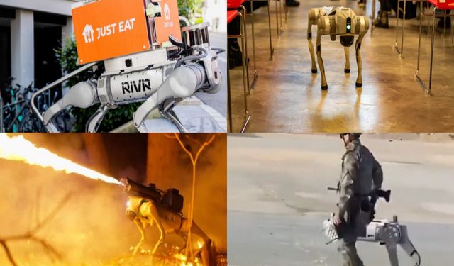 Robot köpeklerin kullanım alanı hızla genişliyor