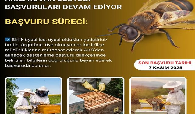 Bingöl’de arılı kovan desteği başvuruları devam ediyor
