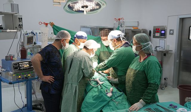 Böbrek korunarak 3 santimetrelik tümör alındı