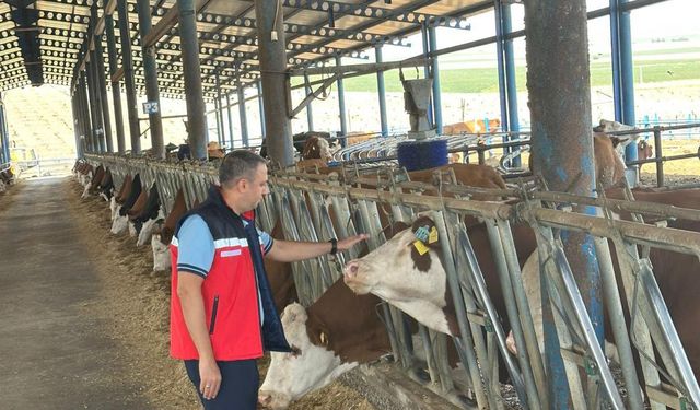 Bismil’de şap hastalığı bilgilendirmesi yapıldı